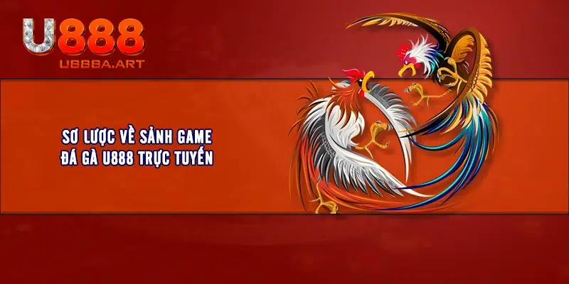 Sơ lược về sảnh game đá gà U888 trực tuyến